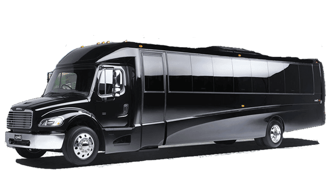 Luxury Mini Bus