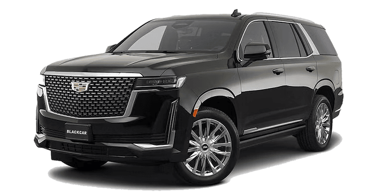 Executive SUV