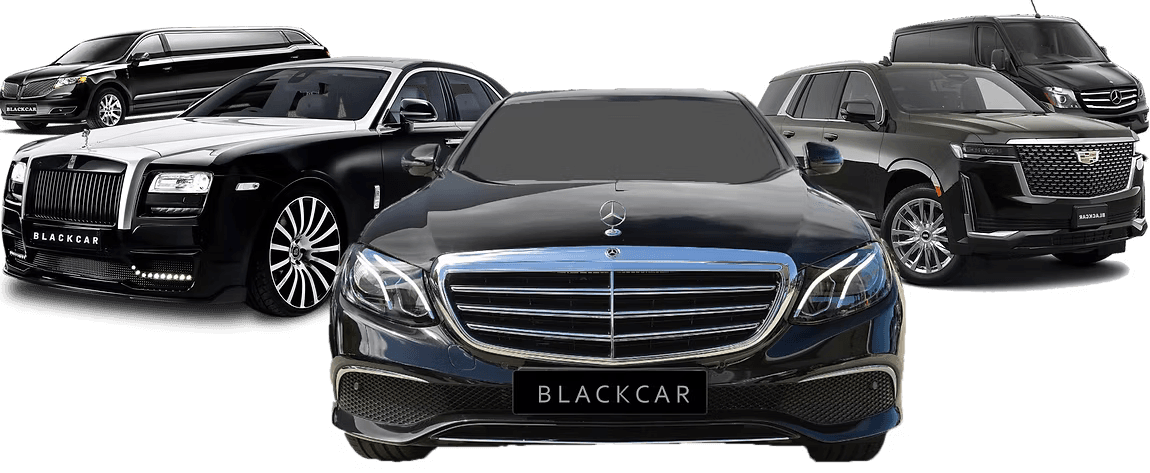 The Black Car fleet lined up